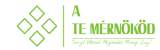 A Te Mérnököd